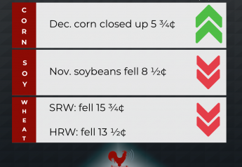 Corn, Soymeal Hold Strength into the Close
