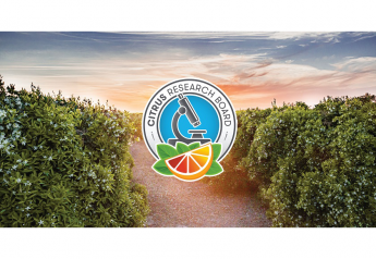 Growers near-unanimous in support of the Citrus Research Board 