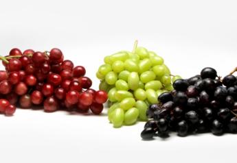Hazel Tech teams with Divine Flavor to protect table grape quality
