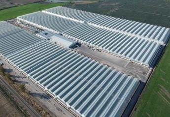Lipman Family Farms buys Mexican greenhouse facility