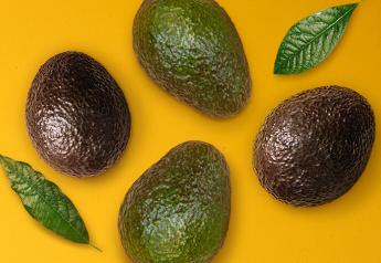 Hass avocados post four-year record high sales in Q1