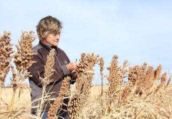 How Conservation Farming in Southwest Nebraska makes Sunny Heights Farm Viable