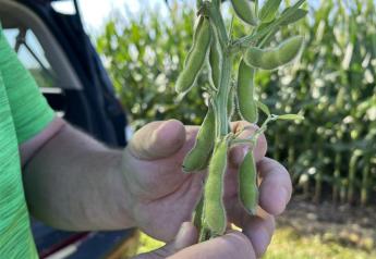 Is Ordinary a Four-Letter Word? Maybe So, with Regard to Corn and Soybeans