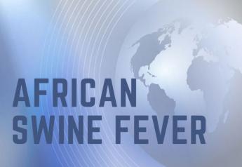 Global African Swine Fever Death Loss Continues in New Year