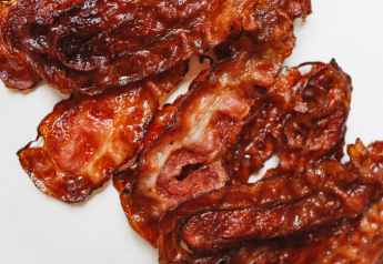 Most Things in Life Are Simply Better with Bacon