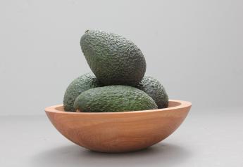 Consumers fall for avocados year-round