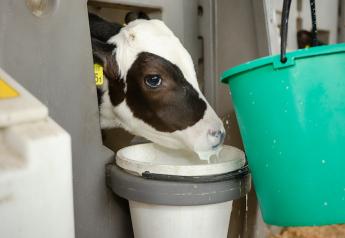 Researchers Explore Risks of Feeding Waste Milk