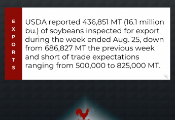 Weekly Export Inspections: Soybeans Fall Short