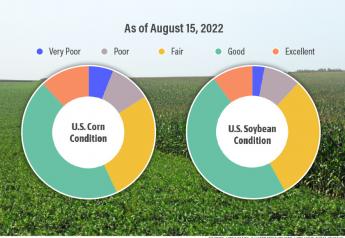 Less than 60% of the U.S. Corn Crop in Good or Excellent Condition