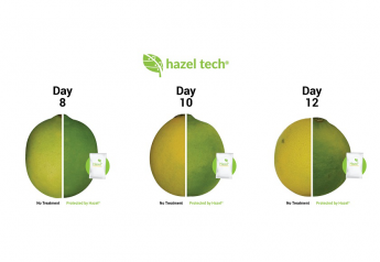 Lime handlers see benefits with Hazel technology
