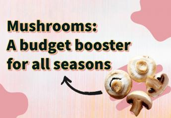 Mushrooms gain attention as a budget booster
