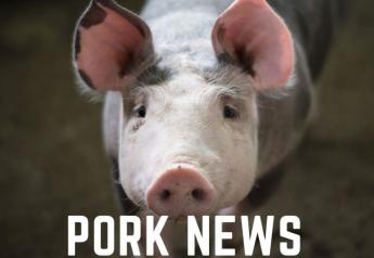 Pork Industry Acquisitions and New Hires