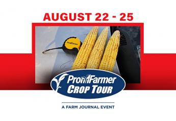 Here Are the Big Questions Analysts Want Answered on Pro Farmer Crop Tour