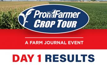 Pro Farmer Crop Tour, Day 1: South Dakota Conditions 'Disappointing,' Grain Length Takes a Hit in Ohio
