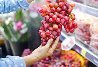 Sunview Marketing International revs up for the balance of California grape season