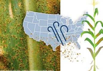 Unspoken Truths About Pests: Southern Rust