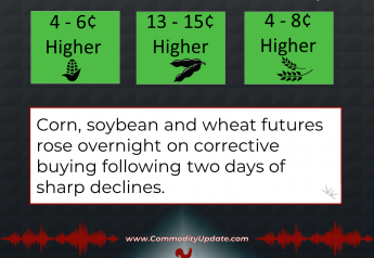 Grain, Soybean Futures in Corrective Rebound