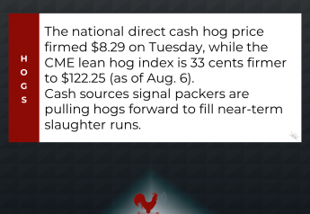 Cash Hog Fundamentals Remain Supportive