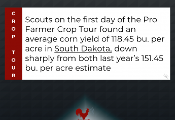 2022 Crop Tour Finds Lower Potential in SD and OH