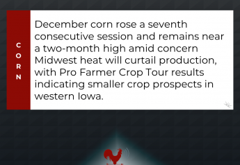 Corn Futures Gain 7th Straight Session