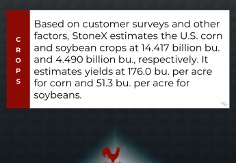 StoneX Expects Slightly Smaller Corn, Bean Crops
