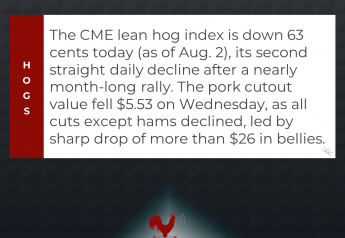 Cash Hog Fundamentals Weaken