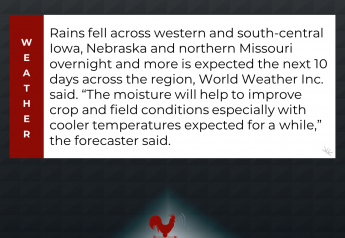 More Rain Expected