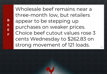 Wholesale Beef Remains Near 3-Month Low
