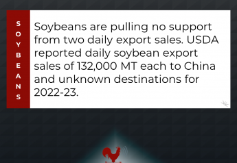Soybeans Pulling No Support