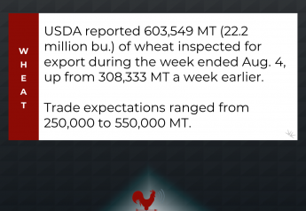 Wheat Inspections Top Trade Expectations