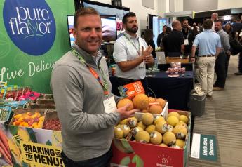 Pure Flavor touts Solara mini melons at IFPA foodservice show
