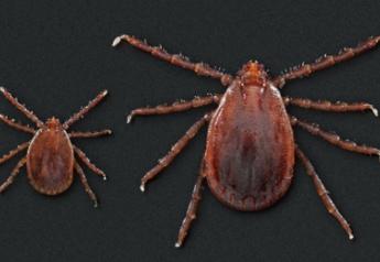 Time is Ticking: Register to Join the Asian Longhorned Tick Webinar 