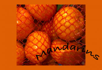 USDA makes $12.4 million mandarin purchase for nutrition programs