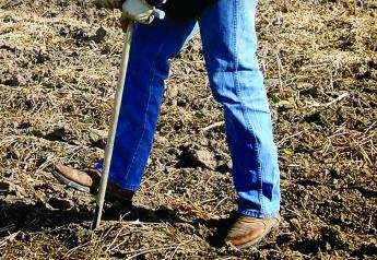 Give Your Soil Routine Checkups