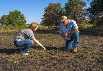 Patch Burning a Potential Cost Saver for Supplemental Feed
