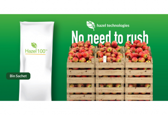 Hazel Tech: Bin sachets are a reliable solution for apple growers