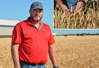 Comeback Crop: Supply Concerns, High Prices Push for More Wheat Acres