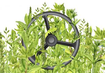 Take the Wheel: Prevent Driver Weeds from Gaining an Upper Hand 