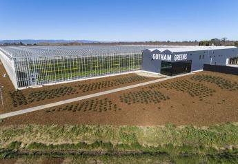 Gotham Greens raises $310M for national greenhouse expansion, acquires FresH20 Growers