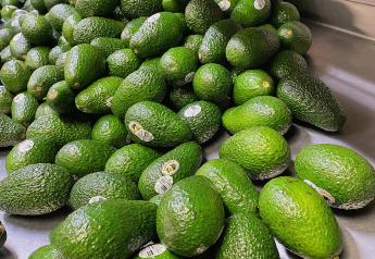 Index Fresh reports record pricing for 2022 California avocado season