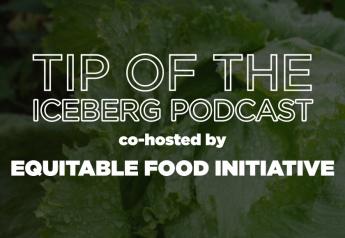 'Tip of The Iceberg' podcast, co-hosted by EFI, to highlight social responsibility