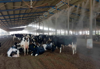 Israeli Dairy School Shares Success