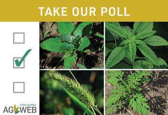 Take Our Poll: What Is Your Top Weed Nemesis on Your Farm? 