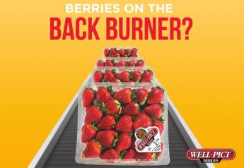Sponsored by Well-Pict: BERRIES ON THE BACK BURNER?