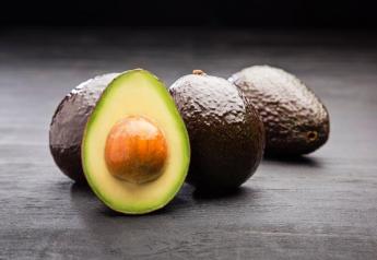 Westfalia to provide promotable avocado opportunities for retailers this fall