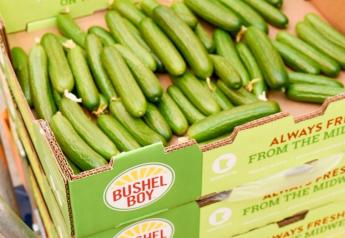 Bushel Boy Farms launches year-round greenhouse cucumbers