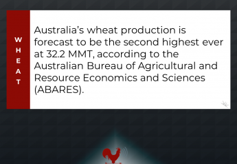 Australia Expects Another Large Wheat Crop