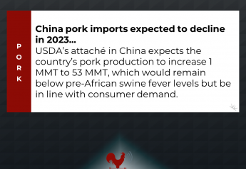 China Pork Imports Expected to Decline in 2023