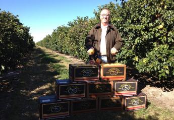 Florida citrus growers battle through challenges