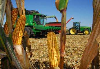 Mexico Says U.S. GMO Corn Will be Imported if it Passes a Test